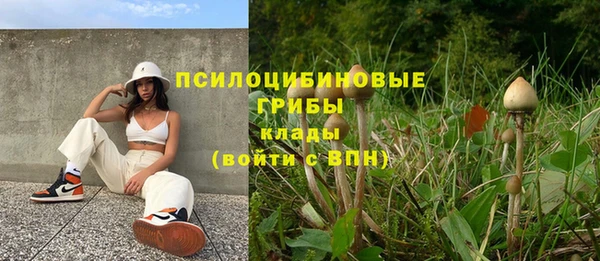 гашик Бугульма