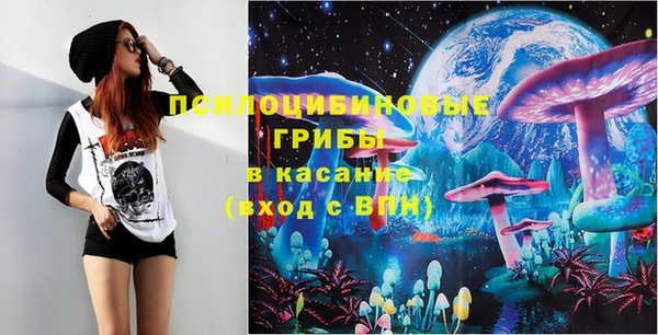 соль ск Бронницы