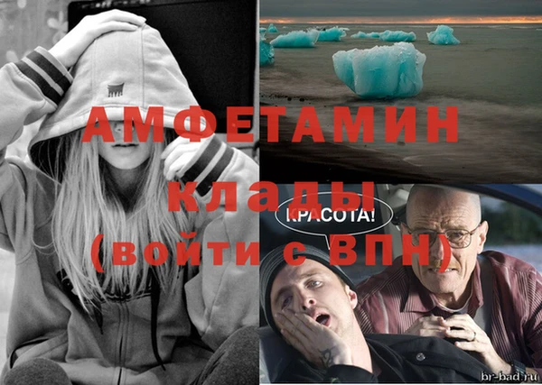 бошки Бородино