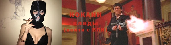 шишки Покровск