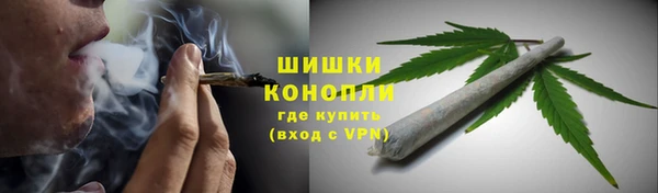 бошки Бородино
