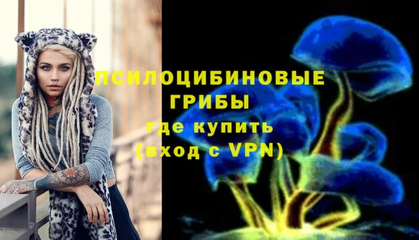 гашик Бугульма