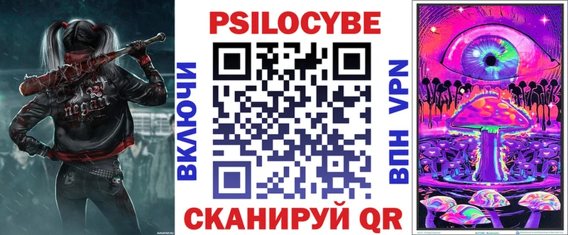 дарнет шоп Можайск Галлюциногенные грибы Psilocybe